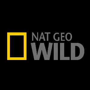 נשיונל ג'יאוגרפיק ווילד