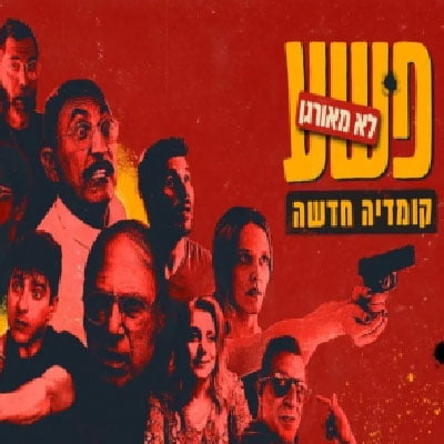 פשע לא מאורגן